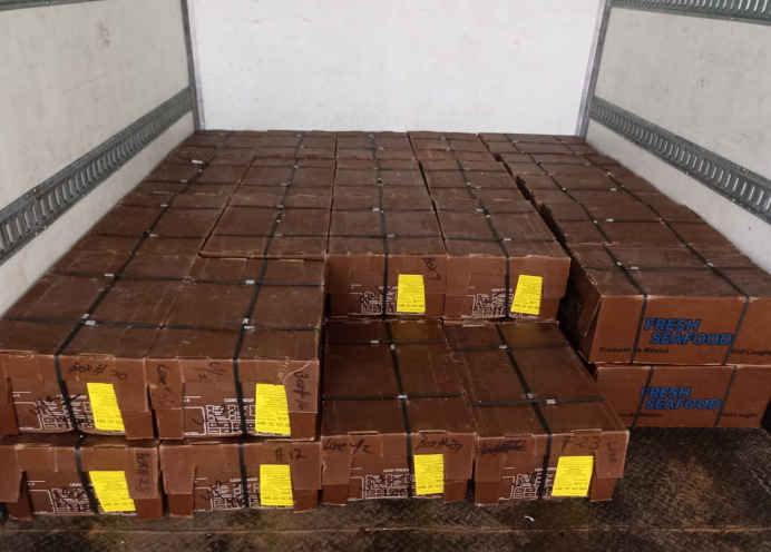 Exportación aérea de pescado